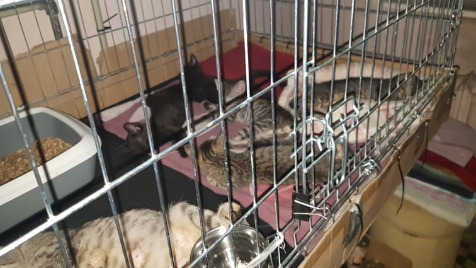 Zdjęcie aktualizacji 33 593