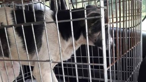 Zdjęcie aktualizacji 34 653