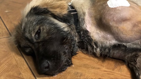 Zdjęcie aktualizacji 34 869