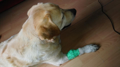 Zdjęcie aktualizacji 34 962