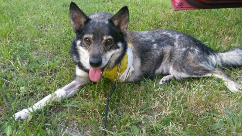 Zdjęcie aktualizacji 35 111