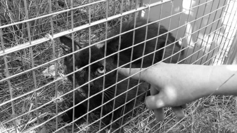 Zdjęcie aktualizacji 35 195