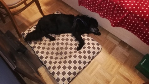 Zdjęcie aktualizacji 35 502