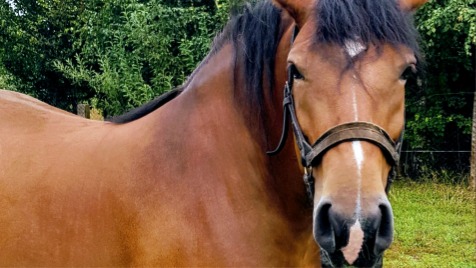 Zdjęcie aktualizacji 36 328