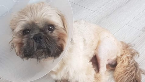 Zdjęcie aktualizacji 36 790