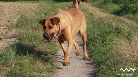 Zdjęcie aktualizacji 37 014