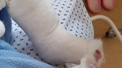 Zdjęcie aktualizacji 37 347