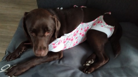 Zdjęcie aktualizacji 37 910