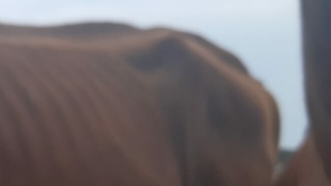 Zdjęcie aktualizacji 38 274