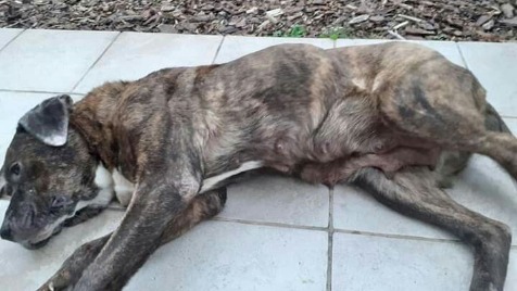 Zdjęcie aktualizacji 38 737