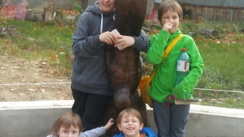 Zdjęcie aktualizacji 39 106