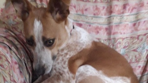 Zdjęcie aktualizacji 39 666