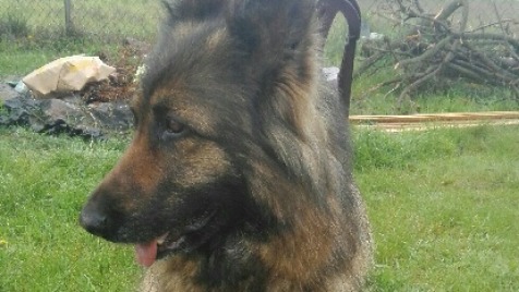 Zdjęcie aktualizacji 39 707