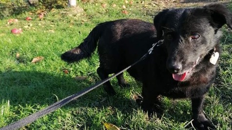 Zdjęcie aktualizacji 40 054