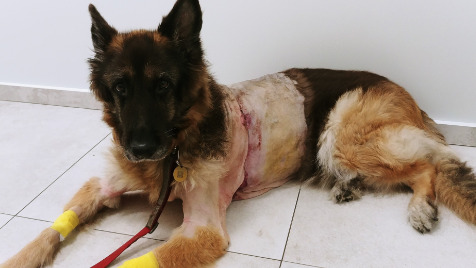 Zdjęcie aktualizacji 40 100