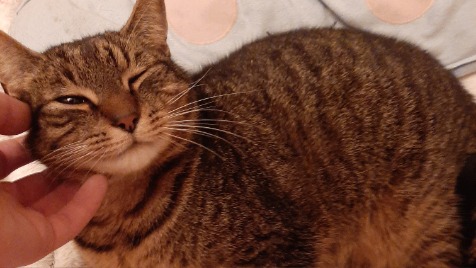 Zdjęcie aktualizacji 40 108