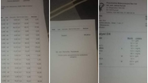 Zdjęcie aktualizacji 40 162