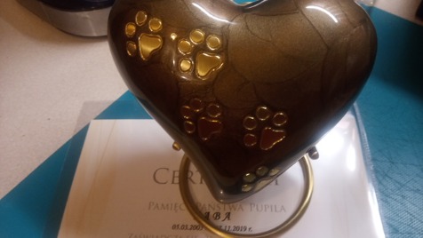 Zdjęcie aktualizacji 40 259