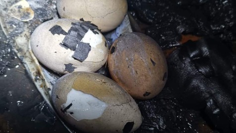 Zdjęcie aktualizacji 40 390