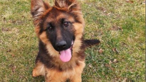 Zdjęcie aktualizacji 40 675