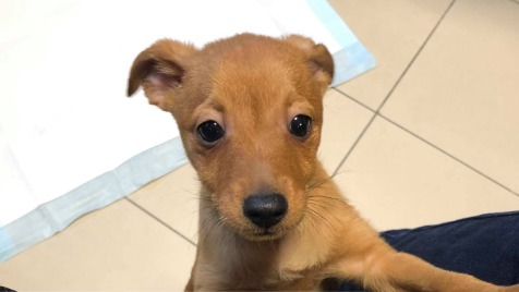 Zdjęcie aktualizacji 40 685