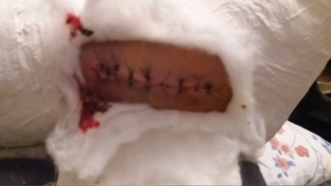 Zdjęcie aktualizacji 40 780