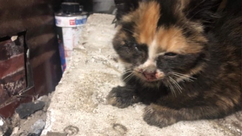 Zdjęcie aktualizacji 40 994