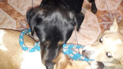 Zdjęcie aktualizacji 41 592