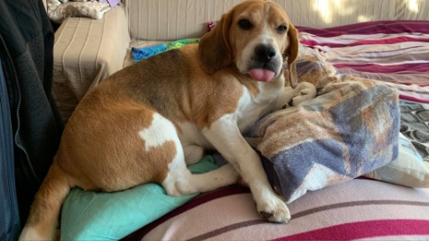 Zdjęcie aktualizacji 41 727