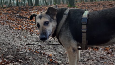 Zdjęcie aktualizacji 42 254