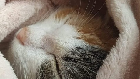 Zdjęcie aktualizacji 42 692