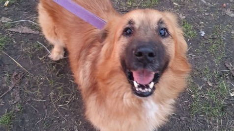 Zdjęcie aktualizacji 43 780