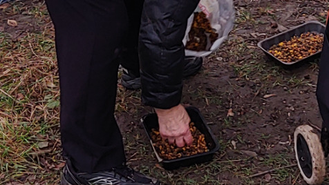 Zdjęcie aktualizacji 43 859