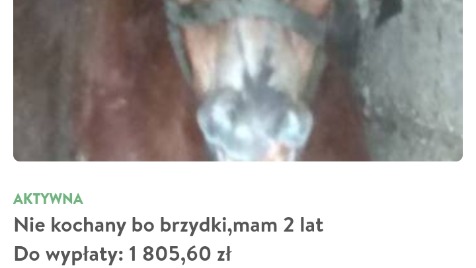 Zdjęcie aktualizacji 44 042