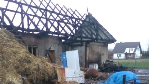 Zdjęcie aktualizacji 44 956