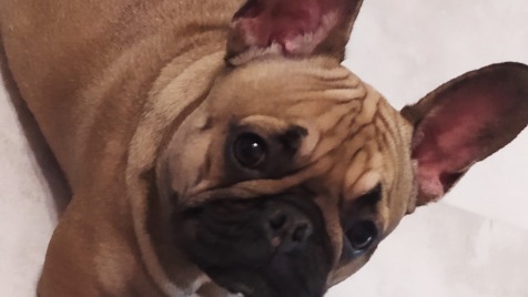 Zdjęcie aktualizacji 45 001