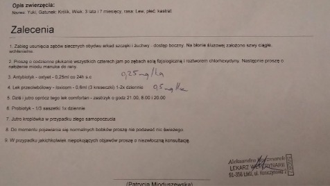 Zdjęcie aktualizacji 45 604