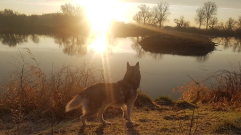 Zdjęcie aktualizacji 45 697