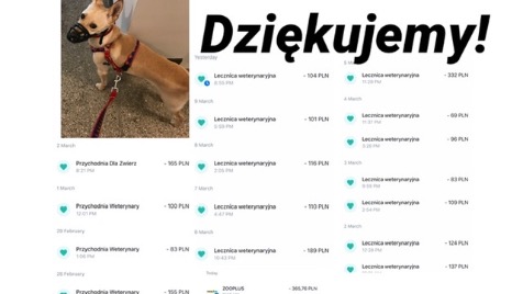 Zdjęcie aktualizacji 45 798