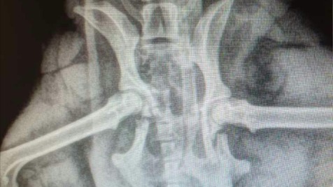 Zdjęcie aktualizacji 46 075