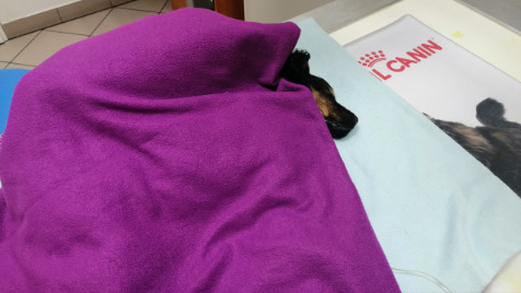 Zdjęcie aktualizacji 47 081