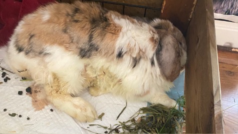 Zdjęcie aktualizacji 47 585