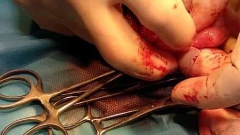 Zdjęcie aktualizacji 47 601