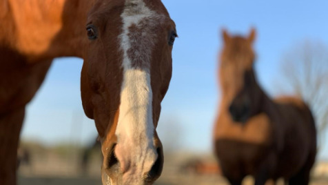 Zdjęcie aktualizacji 47 771