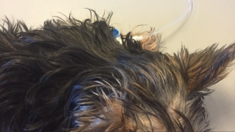 Zdjęcie aktualizacji 47 863