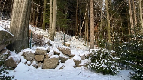 Zdjęcie aktualizacji 47 985