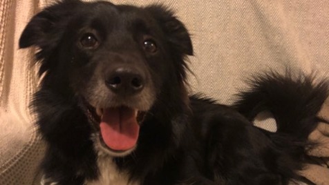 Zdjęcie aktualizacji 48 104