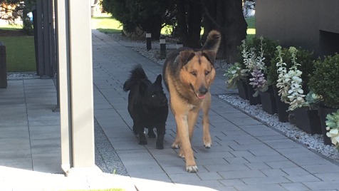 Zdjęcie aktualizacji 48 187