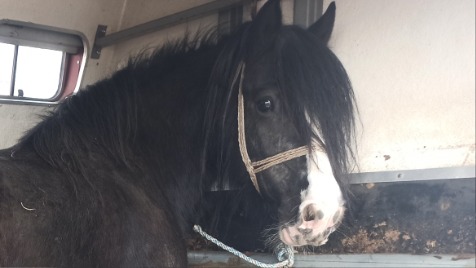 Zdjęcie aktualizacji 48 263