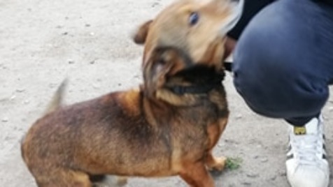 Zdjęcie aktualizacji 48 363